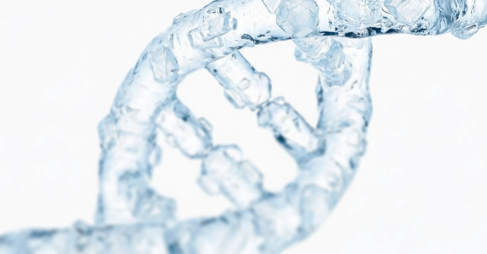 Why we started the brand and what problem Stride solves.