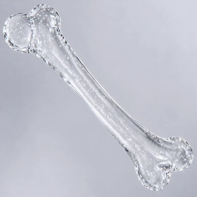 Bone Density & Skeletal Health
