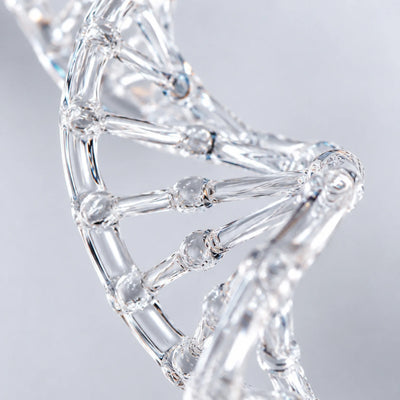 DNA & Cellular Function